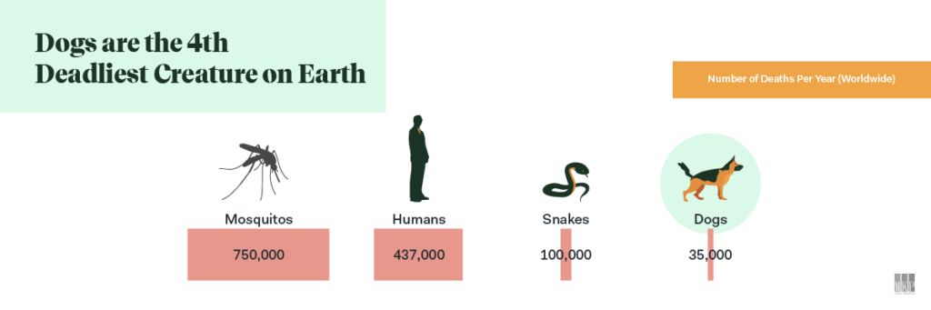 deadliest creatures infographic