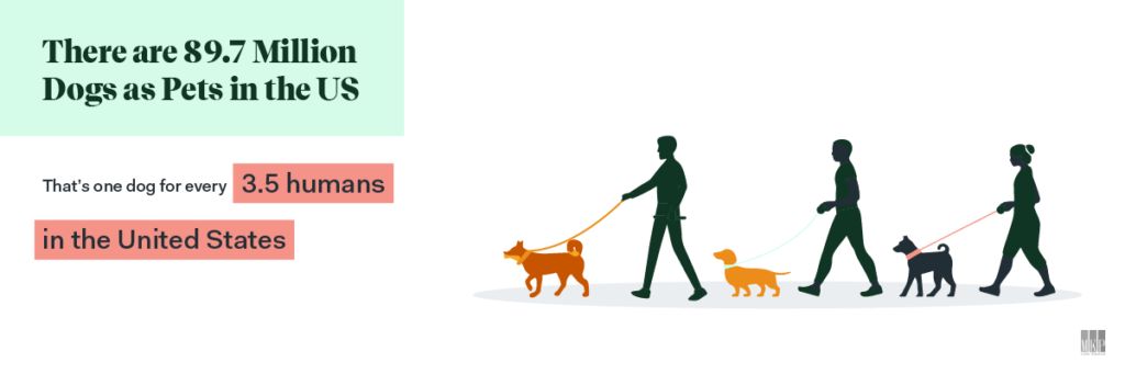 dog as pets infographic