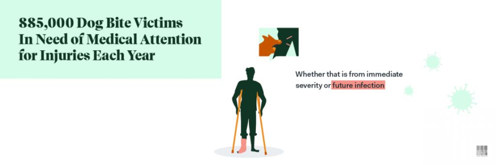 medical attention for dog bites infographic