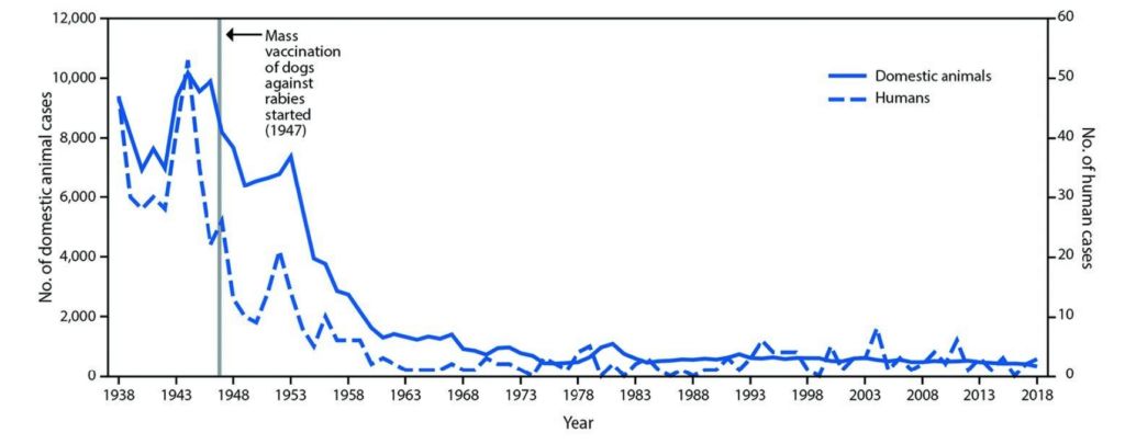 rabies dog graph