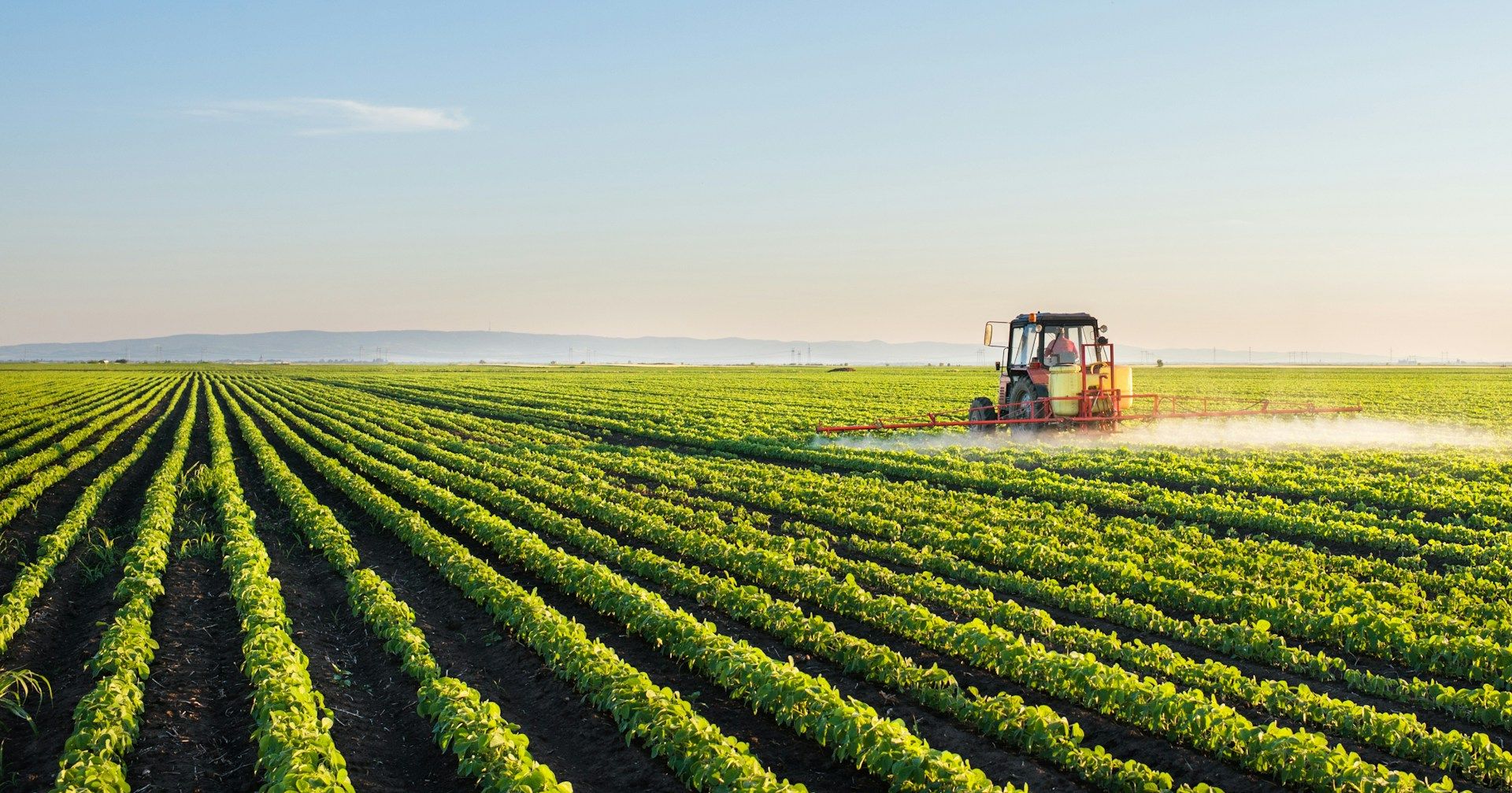 Imperial Valley agriculture