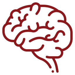 illustration of brain